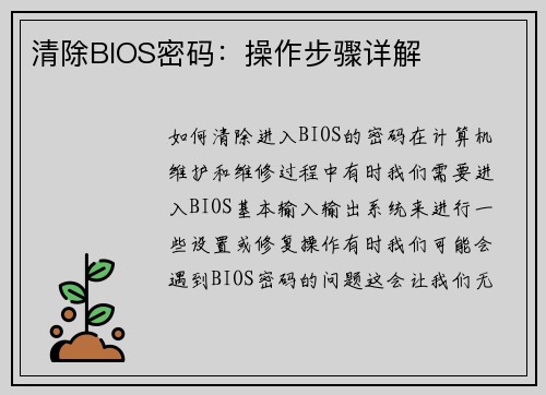 清除BIOS密码：操作步骤详解